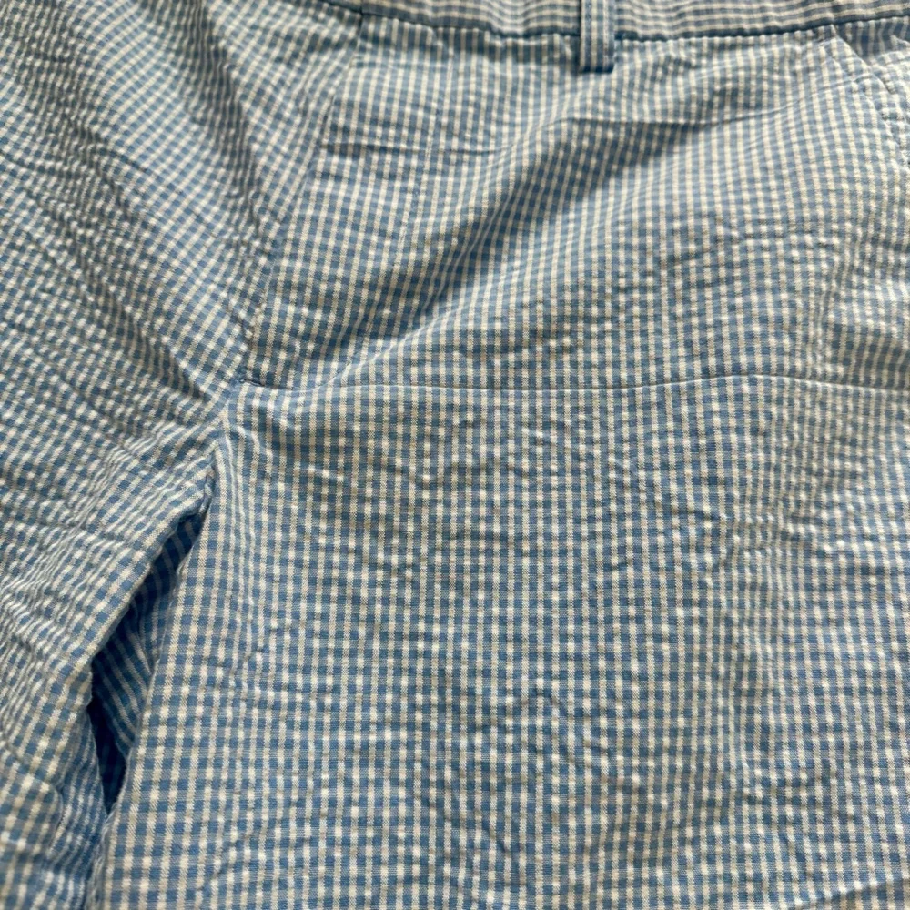 Izod Blue Checkered Flat Front Mens Golf Shorts‎ Size 34